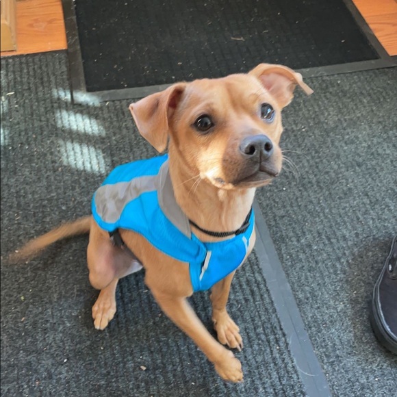 Meet your Posher, Joanna - Picture 3 of 3